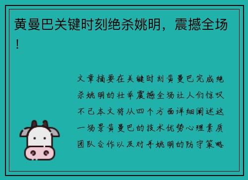 黄曼巴关键时刻绝杀姚明，震撼全场！