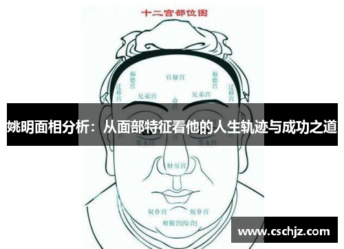 姚明面相分析：从面部特征看他的人生轨迹与成功之道